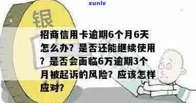 信用卡逾期5天后转交给风险账户：原因、影响与解决办法全面解析