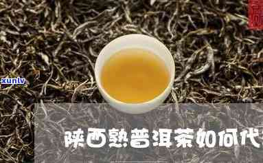 陕西普洱茶招商