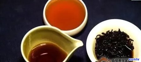 普洱熟茶三级品鉴全解析：口感、品质与选购技巧一网打尽