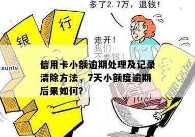 如何有效清除小额度信用卡逾期记录：完整指南及实用建议