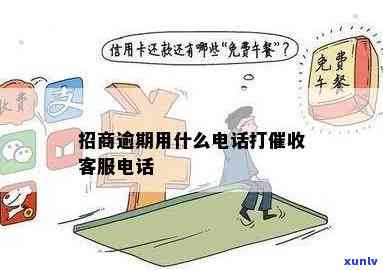 招商逾期 *** 指南：使用何种号码、方式联系，以及如何协商