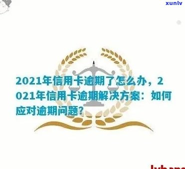 2021年建行信用卡逾期问题解决新策略：深入理解与有效应对