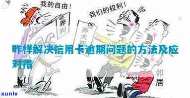 普洱茶对肾脏健的益处与注意事项：综合分析与探讨