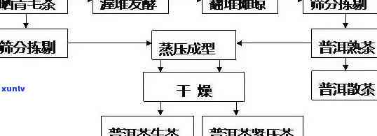 如何成为知名普洱茶的 *** 加盟商：全面指南与流程解析