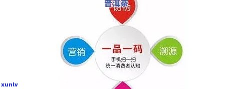 如何成为知名普洱茶的 *** 加盟商：全面指南与流程解析