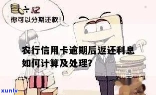 农行信用卡逾期利息如何计算：全面解答用户关心的问题