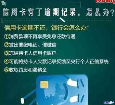 农行信用卡逾期问题解决策略：实战经验分享