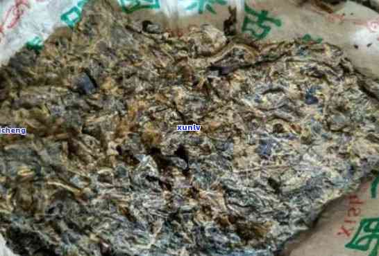 普洱茶发霉后是否仍可安全饮用：深度解析