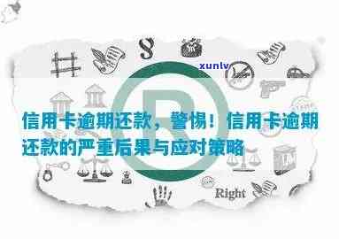 信用卡逾期还款短信提醒：信用危机下的处理策略与影响分析