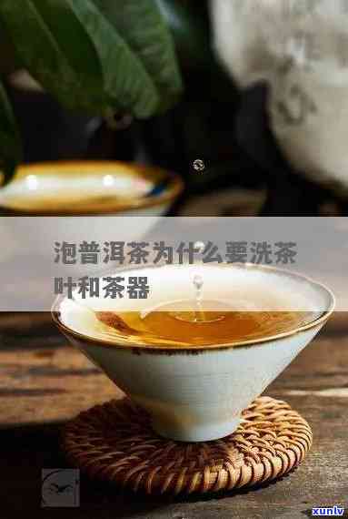 为什么普洱茶要洗茶叶？普洱茶冲泡为什么需要多次洗茶？