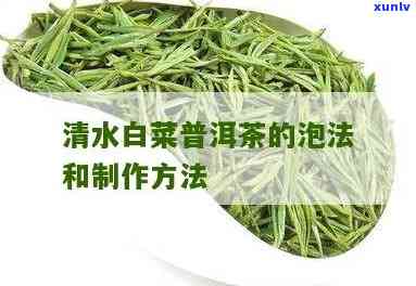 普洱茶小白菜怎么冲