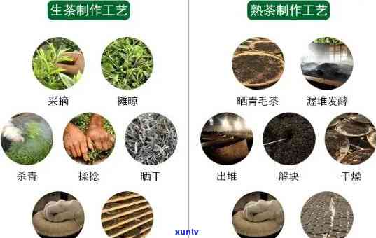 普洱茶五级质量标准详解：从原料到 *** 全过程的全方位解读