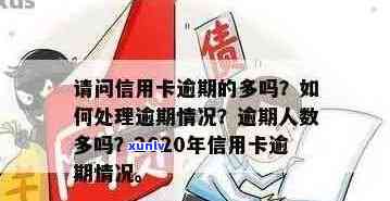 新如何应对信用卡逾期问题，减少逾期人员数量？