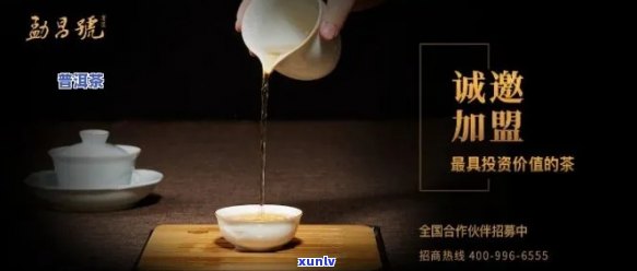 勐海普洱茶招商部 *** ：如何联系？招商政策是什么？有哪些合作机会？