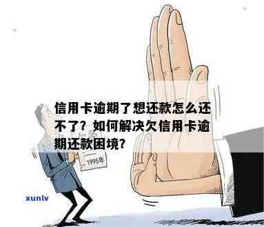 信用卡逾期困境：如何应对还不上的问题？