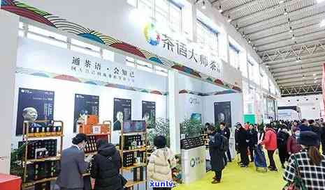 普洱茶博会大开幕：展示最新品种、工艺与文化，探讨行业趋势与未来发展