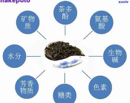 科学家解密：普洱茶中的神秘成分如何帮助人们消瘦？