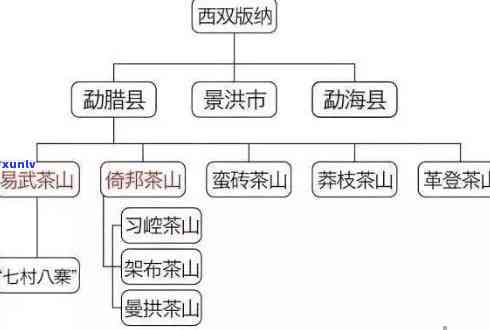 秘境普洱茶六大茶山：产地、古树与品种解析