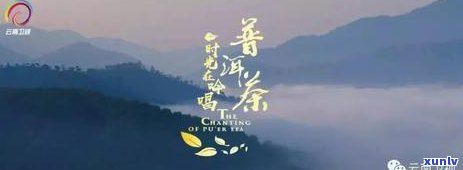 普洱茶之旅：时光吟唱的第三部曲