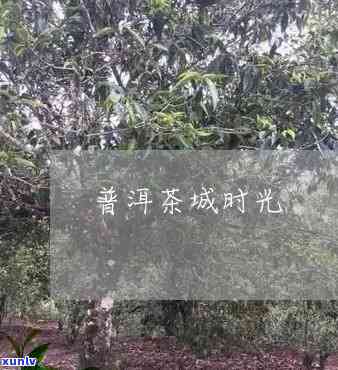 普洱茶城时光：项目建设地及影城位置