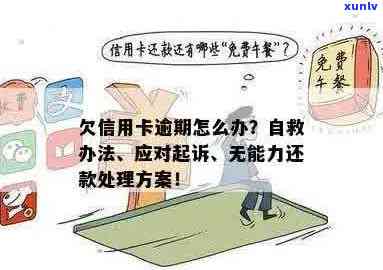 全信用卡逾期法院立案后无力偿还：解决方案和建议