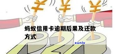 蚂蚁园信用卡逾期还款攻略：信用修复全解析