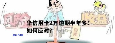 华信用卡逾期两万半年未还款，如何解决信用问题及可能的后果？