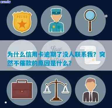 信用卡逾期未还款，原因分析与解决策略：为何没有人联系我？