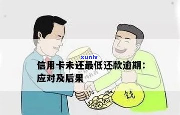 逾期未还款信用卡的严重后果与解决策略