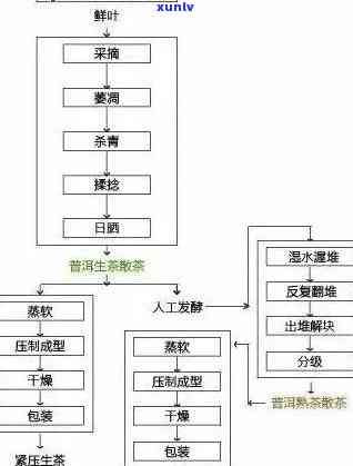 合肥普洱茶加盟流程