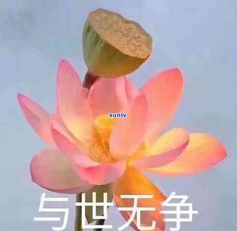 莲莲有鱼翡翠镶嵌：一种独特的莲花翡翠饰品 *** 技艺