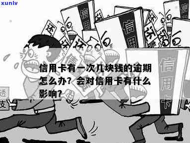 几块钱信用卡逾期：处理建议与信用影响探究