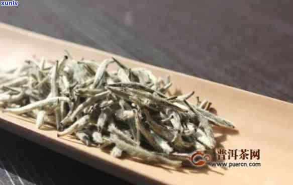 银针茶：红茶的瑰宝还是绿茶的佳品？与普洱茶有何关联？