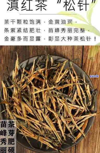 云南滇红松针茶介绍