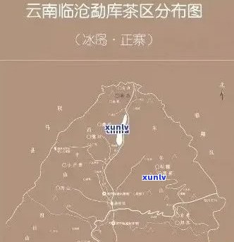 云南普洱冰岛茶区：探索神秘的产地与高品质茶叶的诞生之地