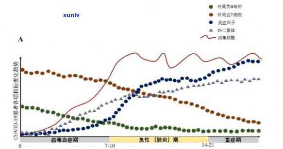 普洱茶中的黄曲霉素：对饮者健的潜在及有效预防策略探讨