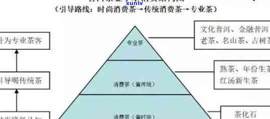 全方位了解普洱茶 *** ：优势、投资费用、经营支持及盈利分析