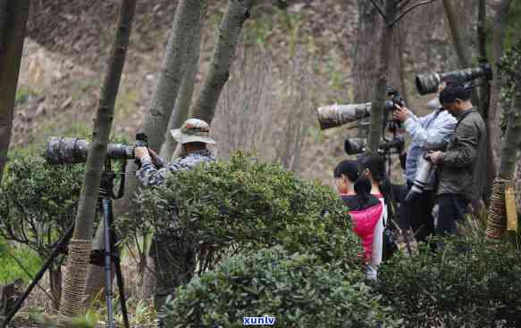 贵州翡翠购物：贵阳市旅游购物热门去处