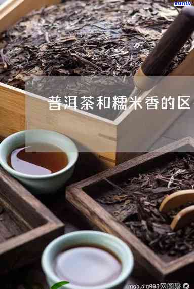 普洱茶原味与糯米香：两者对比，哪种更适合你？