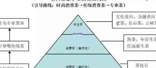 普洱茶 *** 加盟市场前景分析：投资成本与收益预测