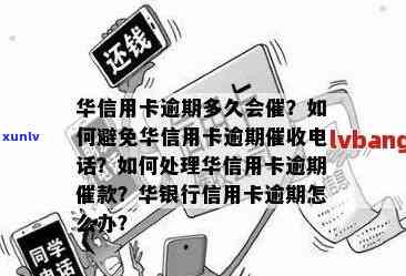 华信用卡逾期半年多解决方案：如何处理、可能的后果与建议