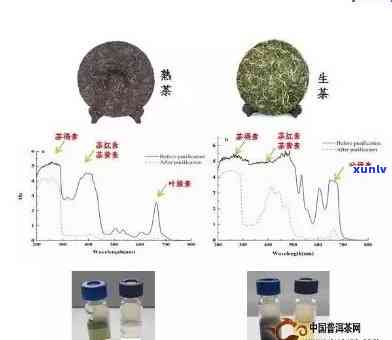 全面了解熟普洱茶：陈年与品质的关系、是否含有素以及如何鉴别？