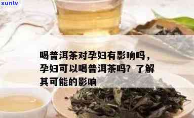 孕妇晚期能喝凉普洱茶吗？孕妇可以喝普洱茶吗？孕妇适合喝普洱茶吗？