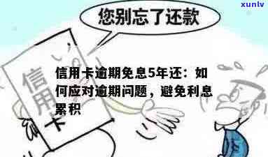 信用卡逾期还款免息政策解读与应对策略：当逾期不再产生利息，你该怎么做？