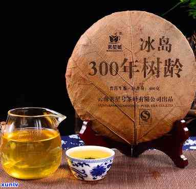 金冰岛古树普洱生茶400克精选茶饼报价及批发信息