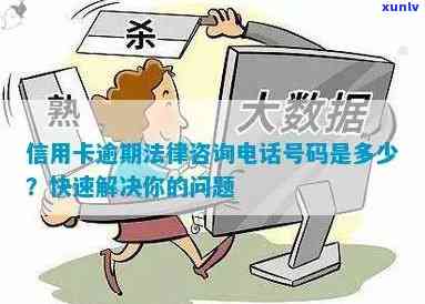 昔阳县信用卡逾期处理热线：解决您的信用问题