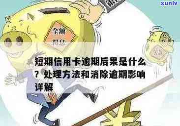 信用卡逾期后全额结清的免息方案：详细步骤与影响分析