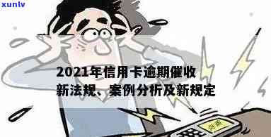 新泰法院信用卡逾期案：还款攻略与案例分析