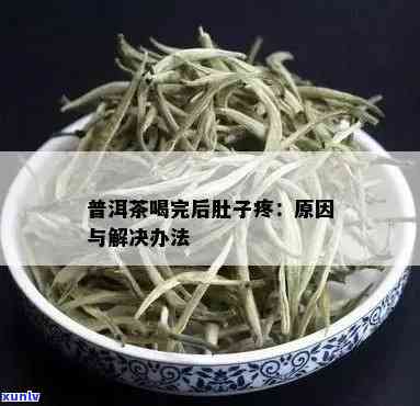 医生解析：普洱茶饮用过量导致肚子疼的科学原因与预防 *** 