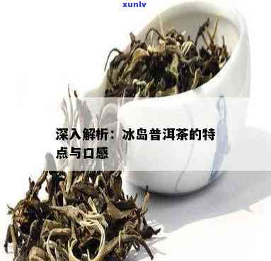 冰岛普洱茶的独特冲泡技巧与口感探究